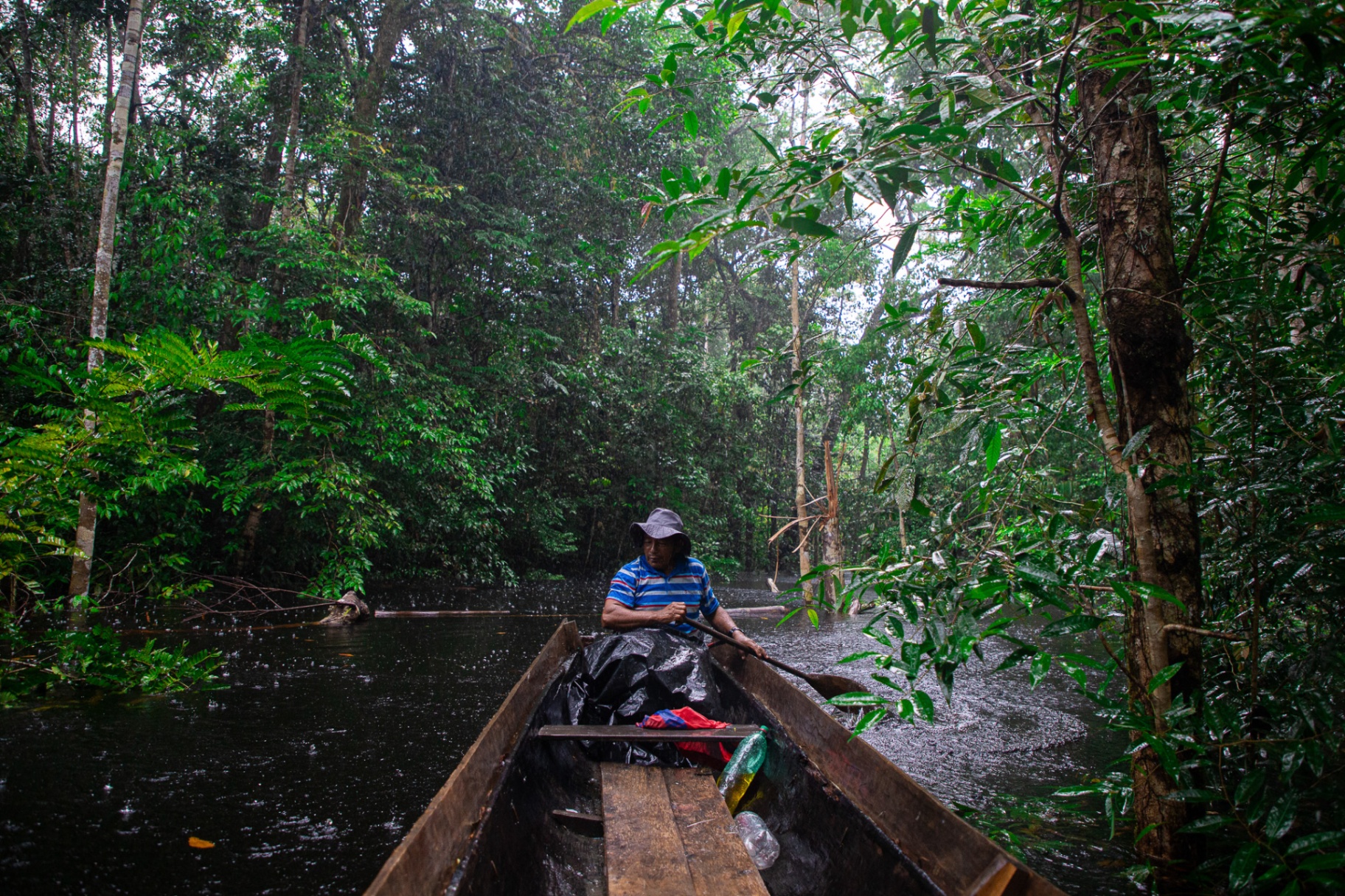 amazonia