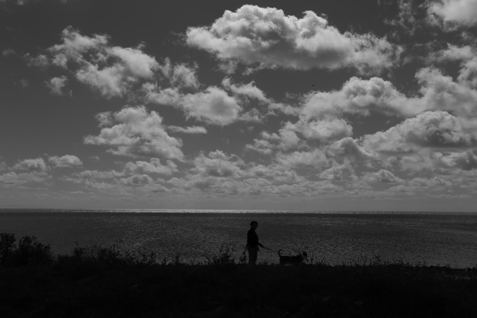 Silueta con perro frente al mar, nubes