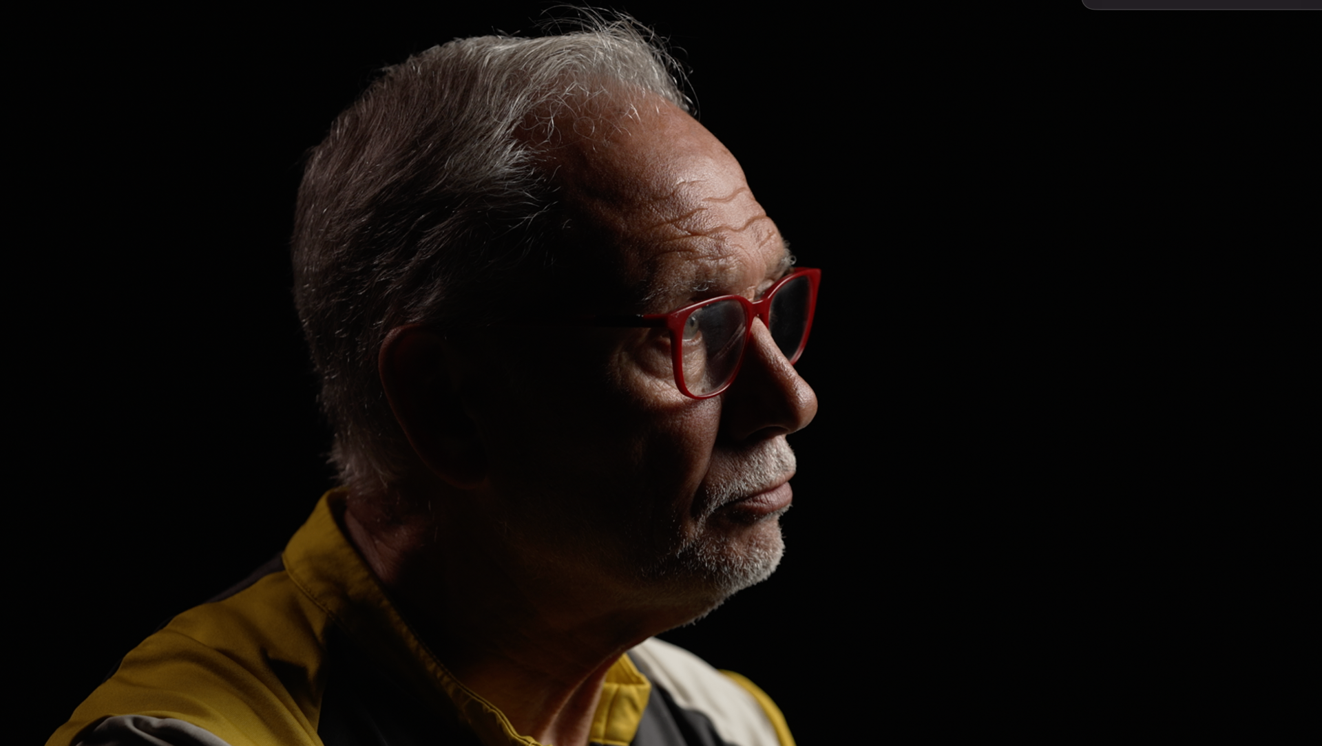 Retrato de perfil